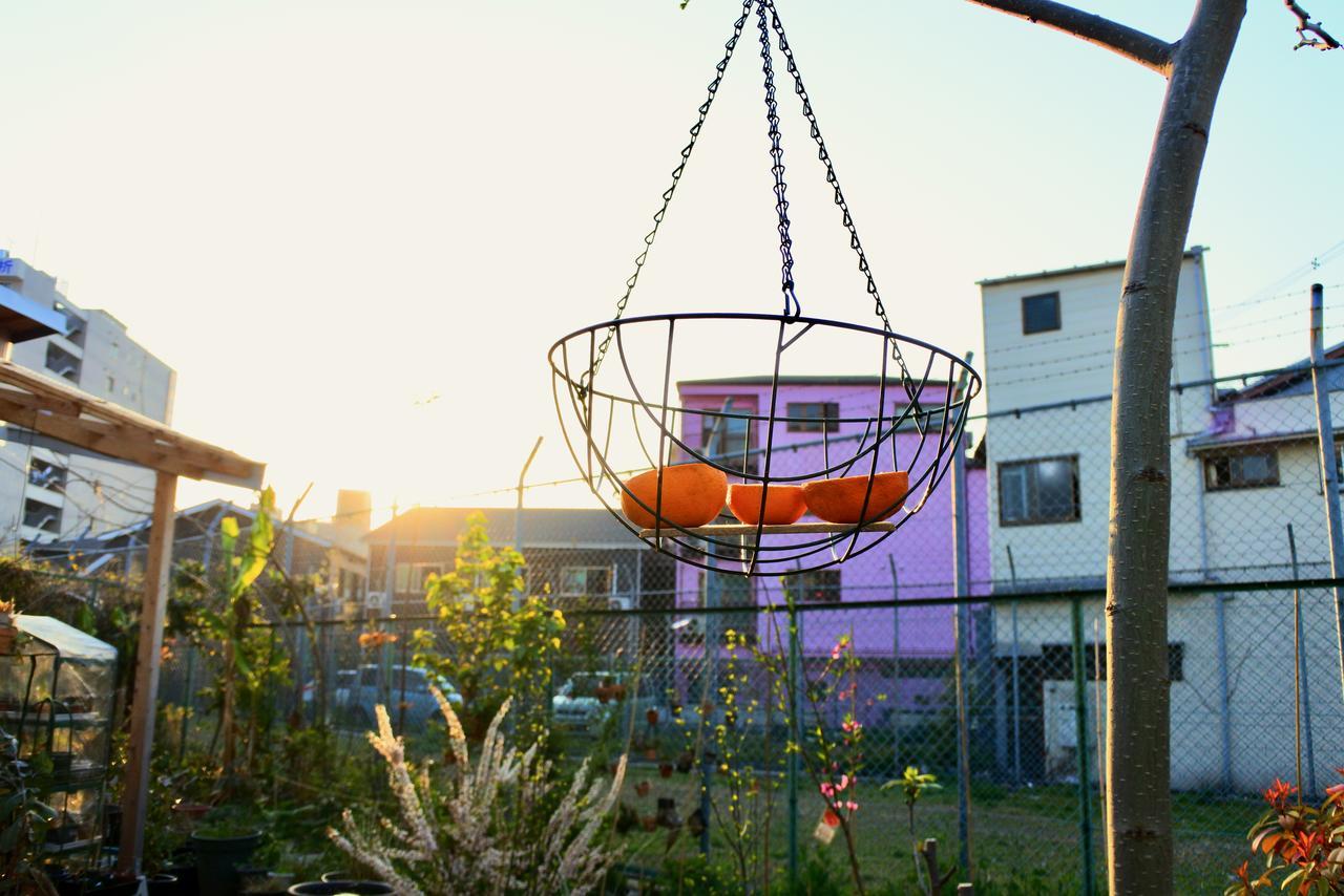 Kamagasaki University Of The Arts Cafe Garden Guest House Aka Cocoroom Osaka Buitenkant foto